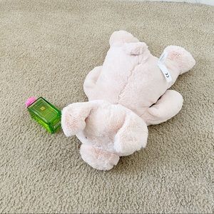 Cute pig